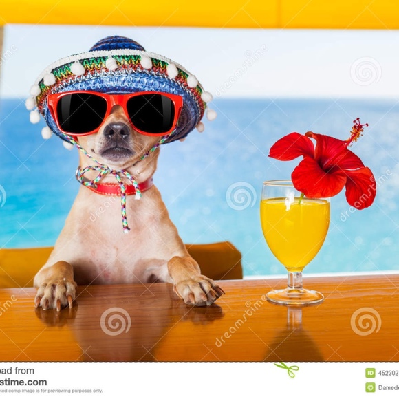 Meet your Posher, Caroline - Picture 1 of 1